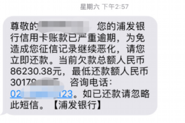 吉林吉林专业催债公司，专业催收